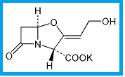 CLAVULANATE POTASSIUM